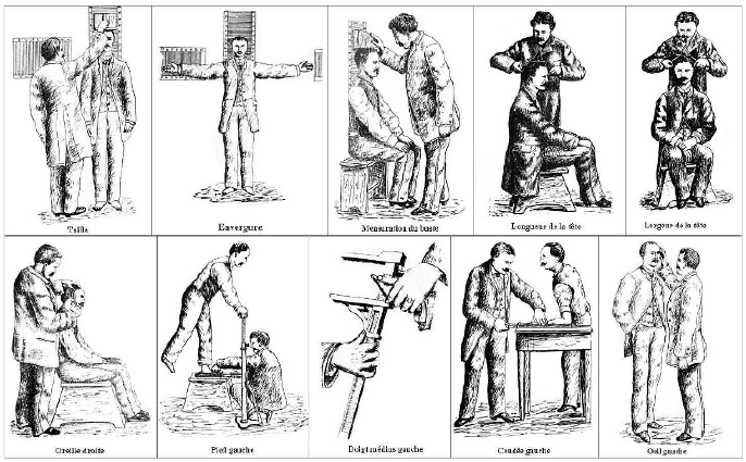 Fig 213 Illustration of Bertillons anthropometric measurements adapted from 12