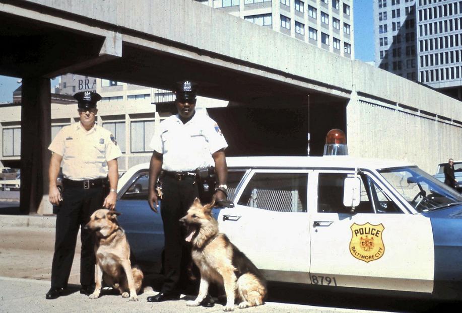 Two Officers and Dogs
