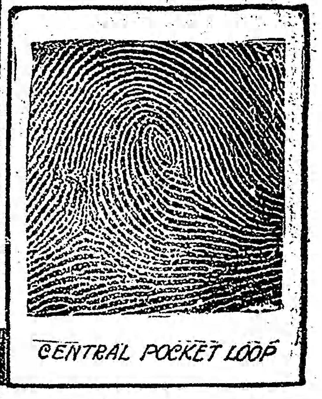 The Baltimore Sun Sun Jan 28 1912 Central Pocket loop