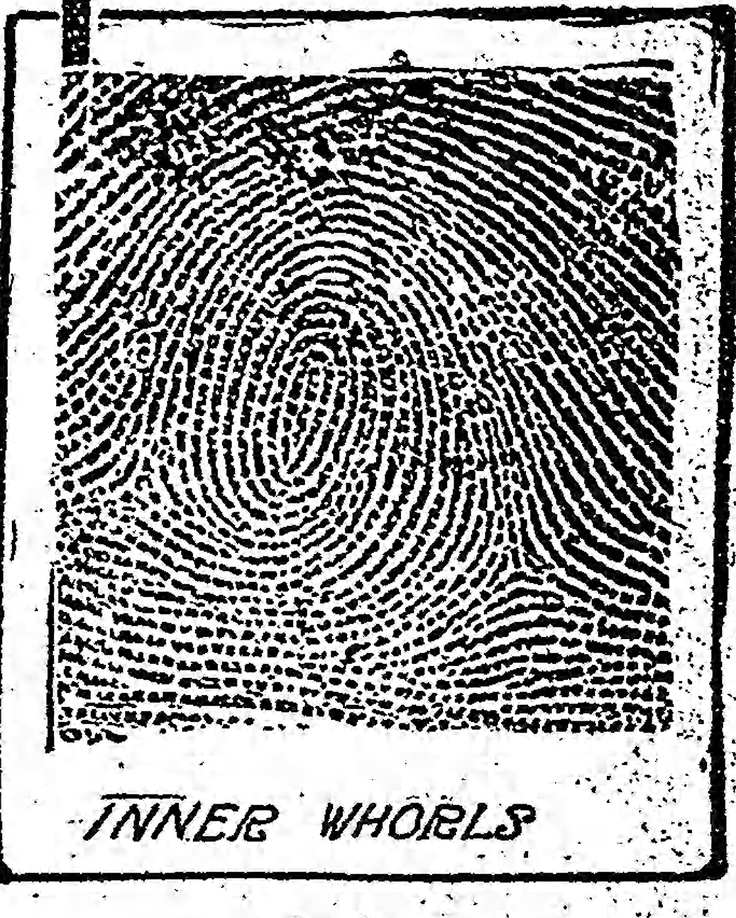 The Baltimore Sun Sun Jan 28 1912 Inner swirls5