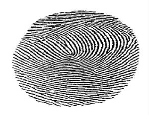 fingerprint3.jpg.w300h232