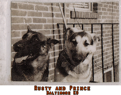 Rusty Prince 72