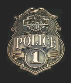 Harley Davison Police Motorcycles