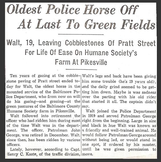 1929 Off John George Oldest Police Horse