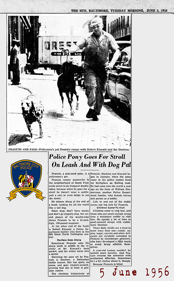The Baltimore Sun Tue Jun 5 1956 Robert Kincaid 72