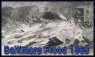 The Baltimore Flood